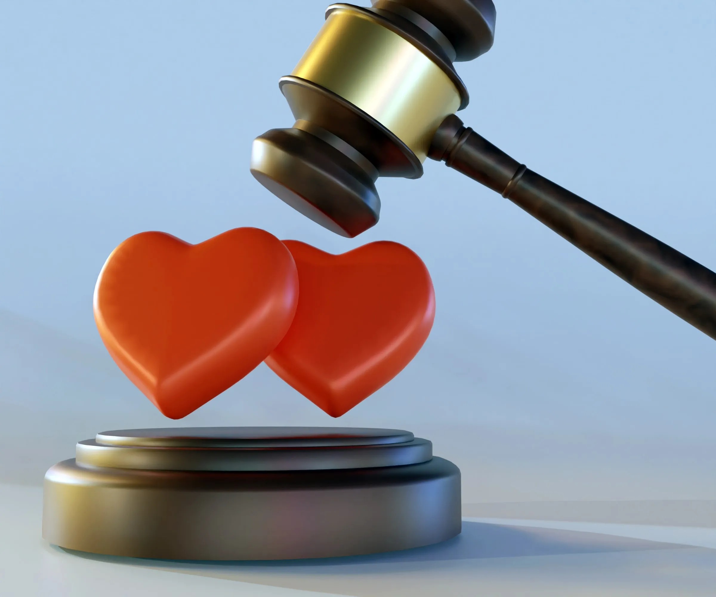 법무법인 대륜 이혼소송 상간자소송 지원 사례